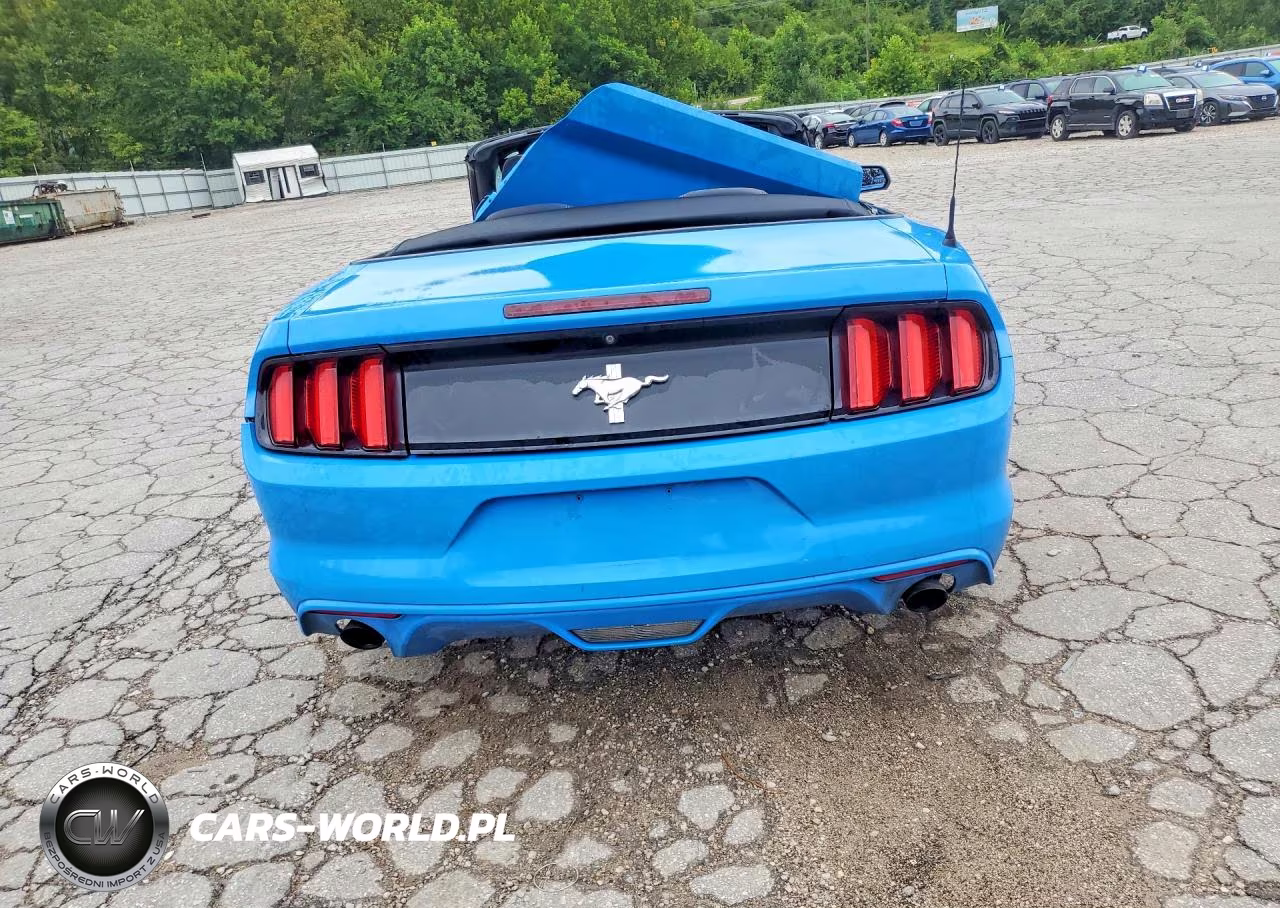 2017 Ford Mustang VIN:1FATP8EM8H5224821 - 6