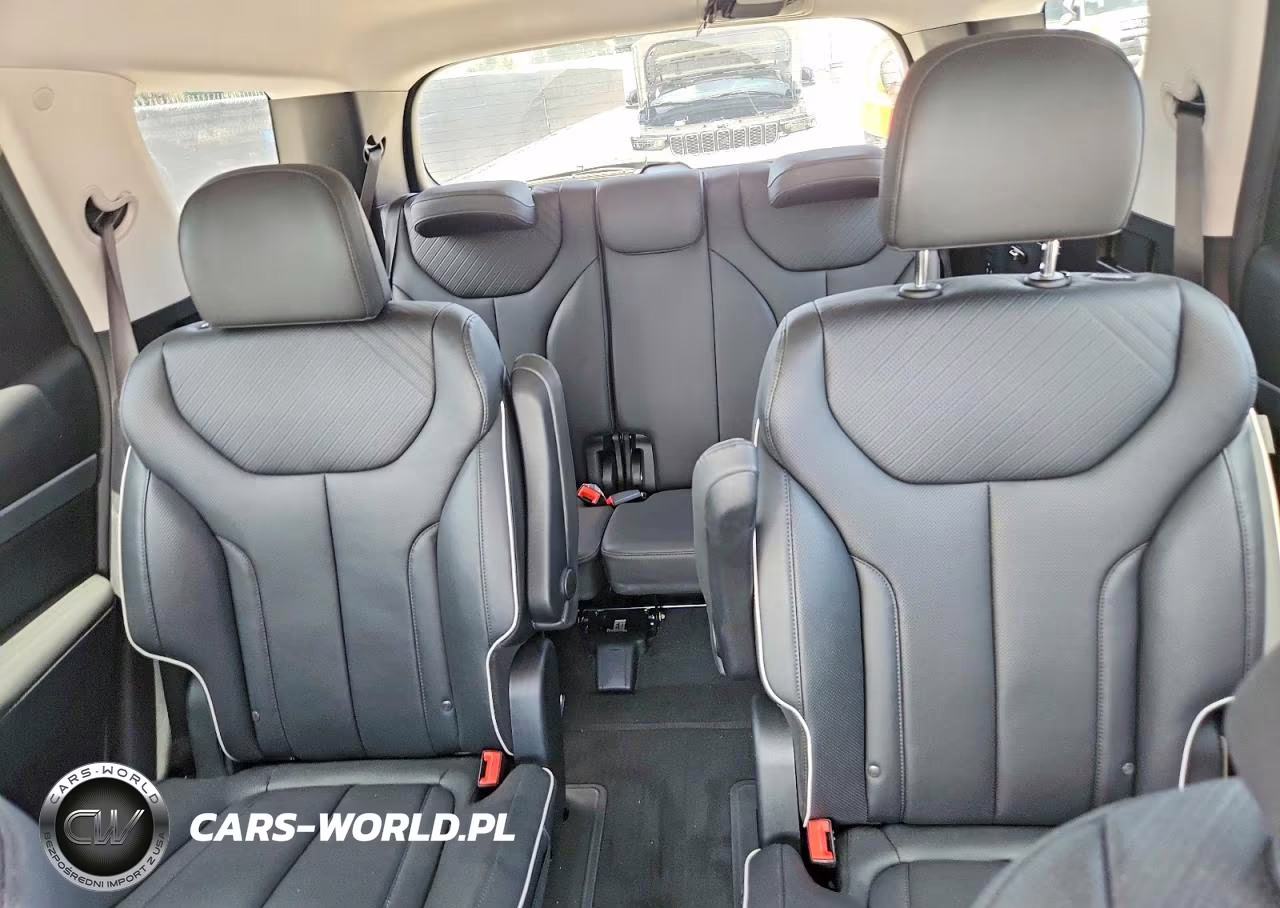 2025 Hyundai Palisade Sel Premium VIN:KM8R4DGE4SU818844 - 10