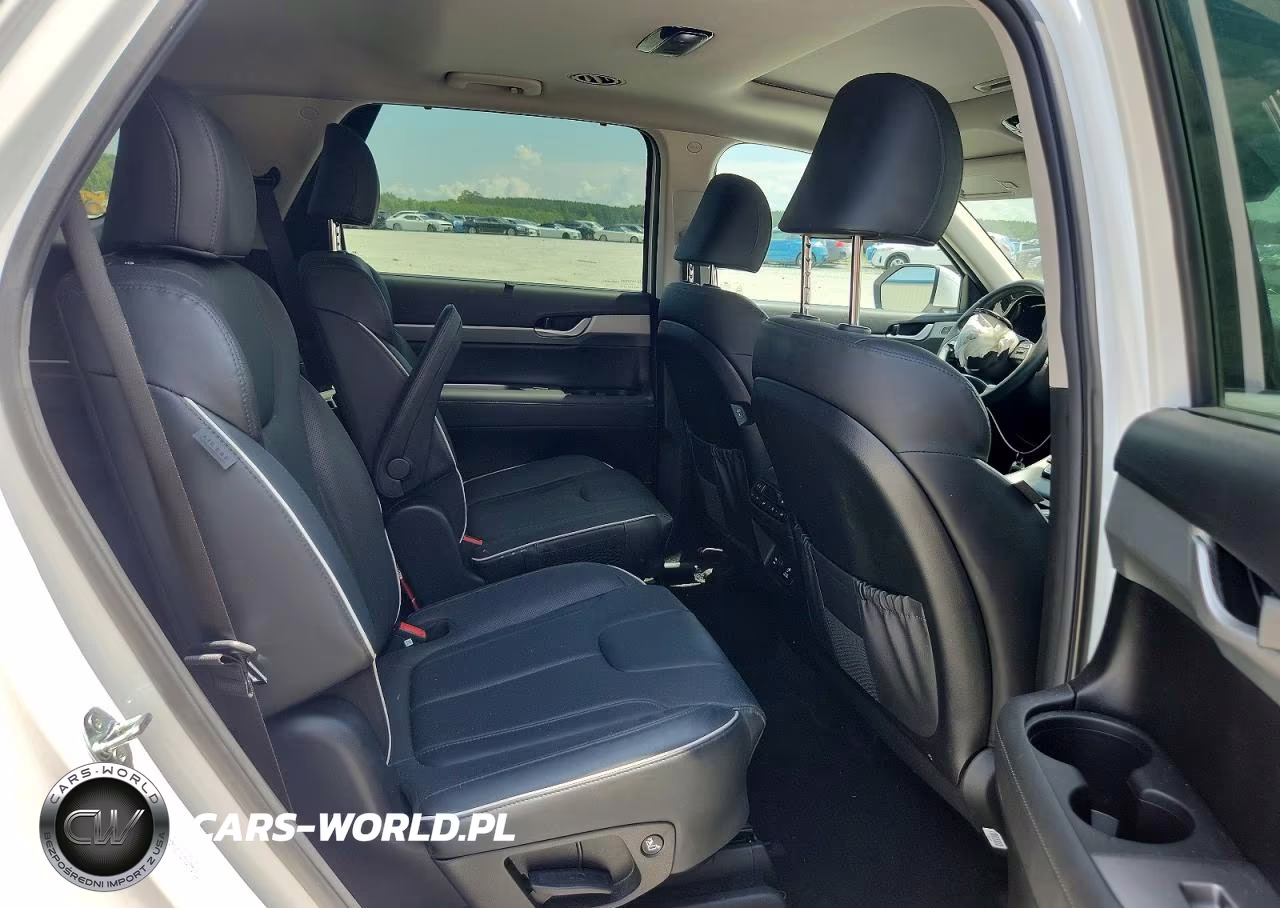 2025 Hyundai Palisade Sel Premium VIN:KM8R4DGE4SU818844 - 11