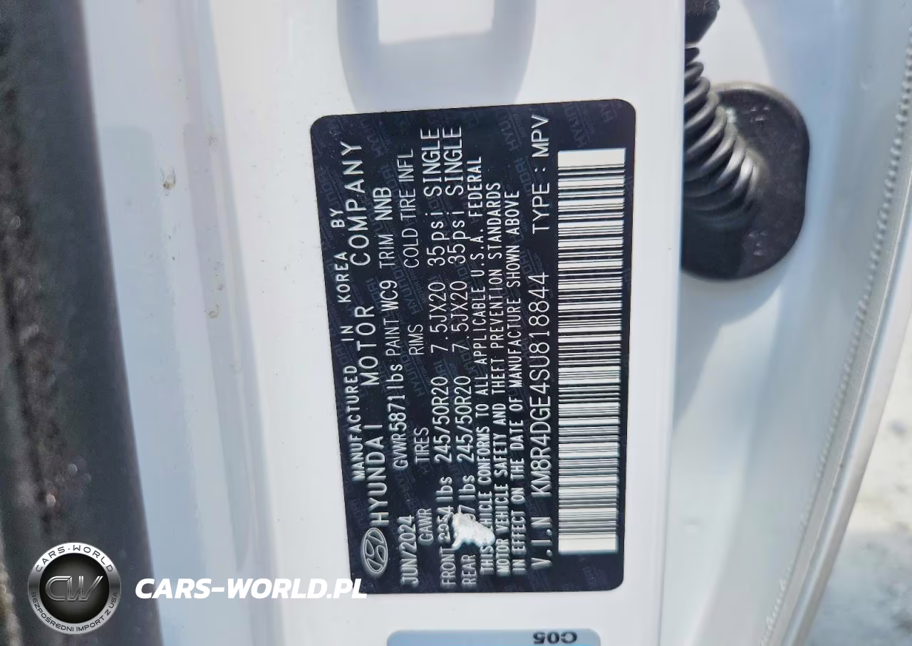 2025 Hyundai Palisade Sel Premium VIN:KM8R4DGE4SU818844 - 13