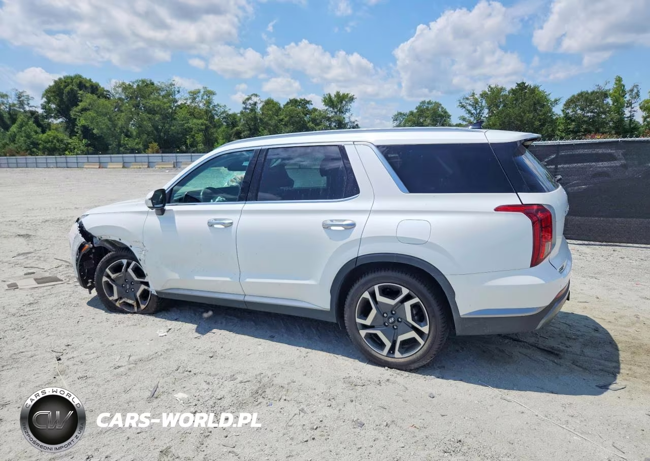 2025 Hyundai Palisade Sel Premium VIN:KM8R4DGE4SU818844 - 2