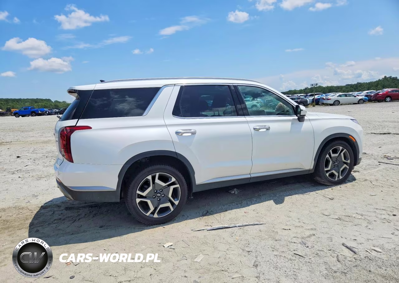 2025 Hyundai Palisade Sel Premium VIN:KM8R4DGE4SU818844 - 3