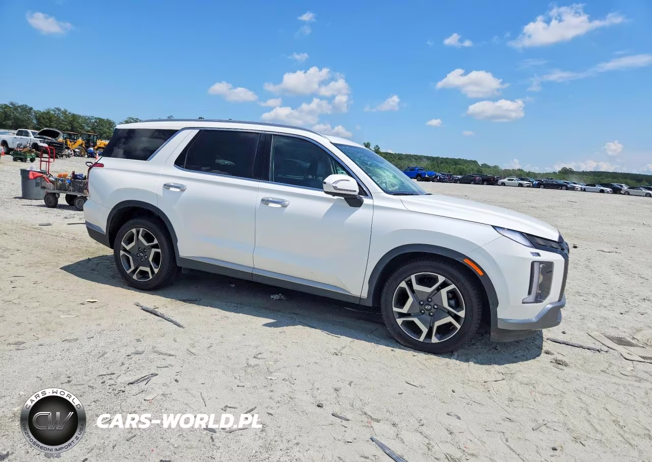 2025 Hyundai Palisade Sel Premium VIN:KM8R4DGE4SU818844 - 4