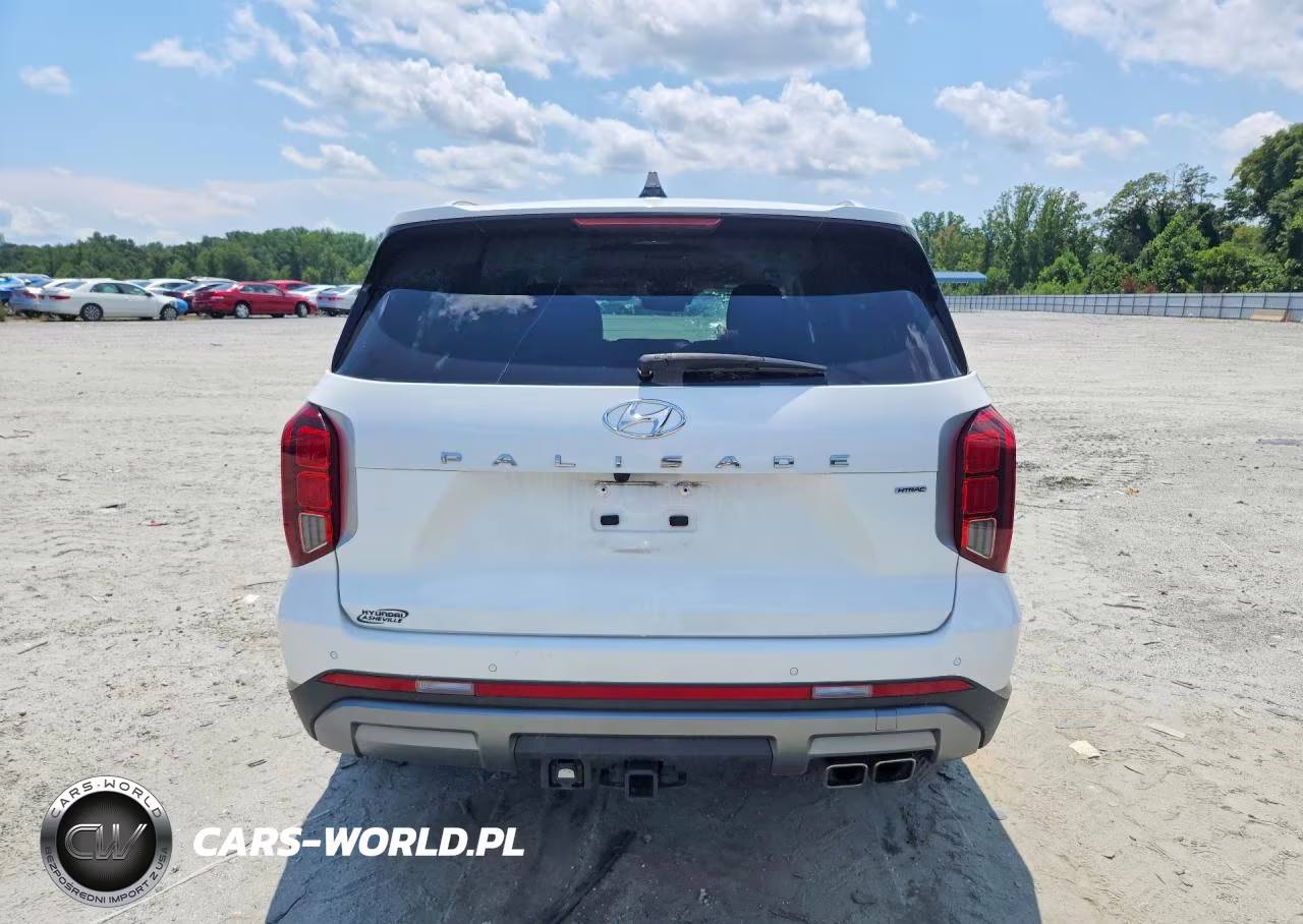 2025 Hyundai Palisade Sel Premium VIN:KM8R4DGE4SU818844 - 6