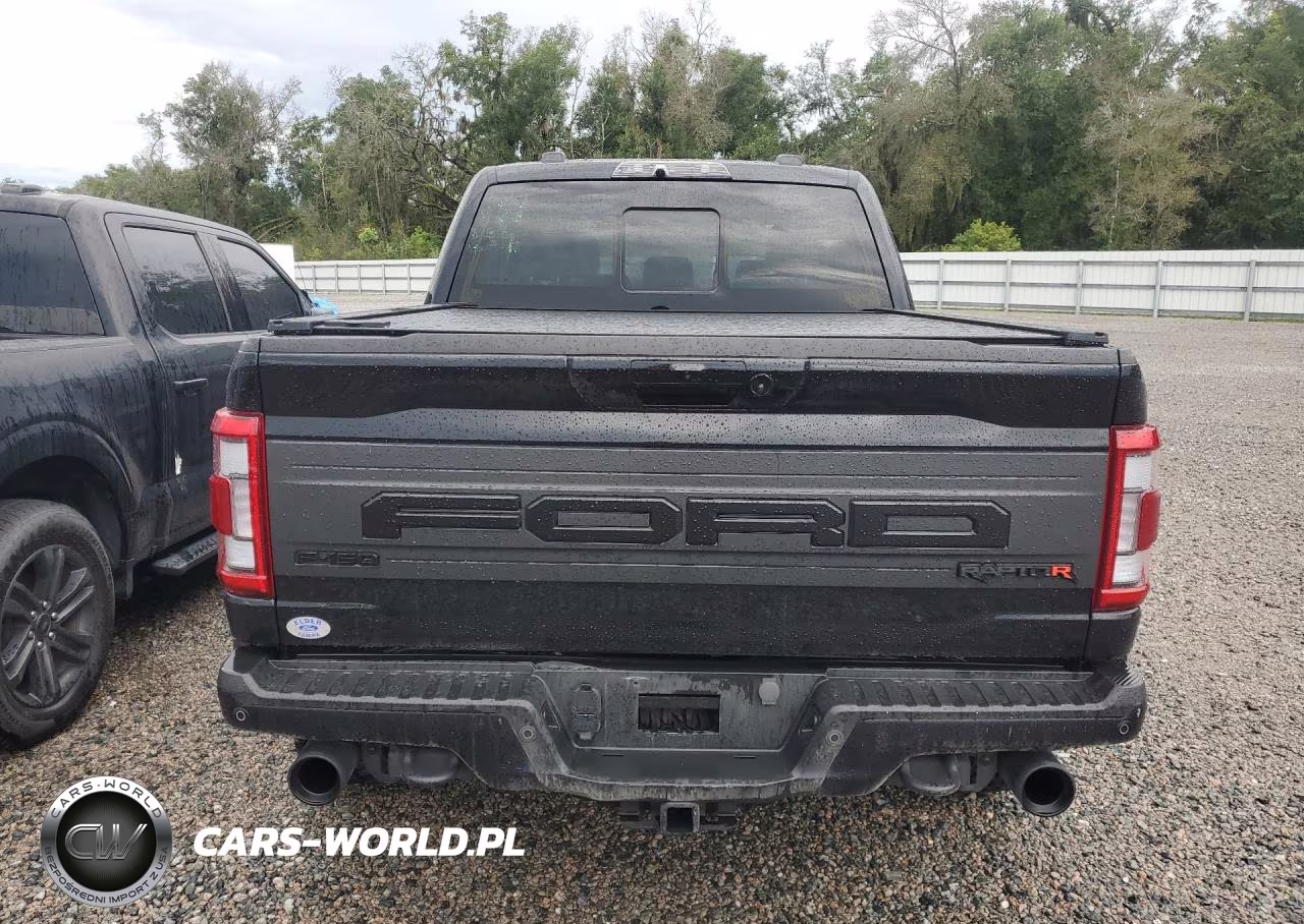 2023 Ford F150 Raptor VIN:1FTFW1RJXPFC92967 - 6