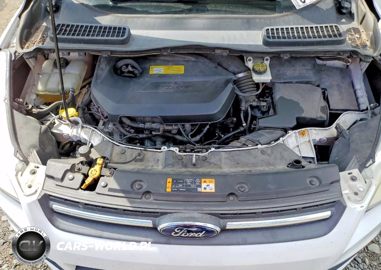2013 Ford Escape Se VIN:1FMCU9GX8DUD94639 - 12