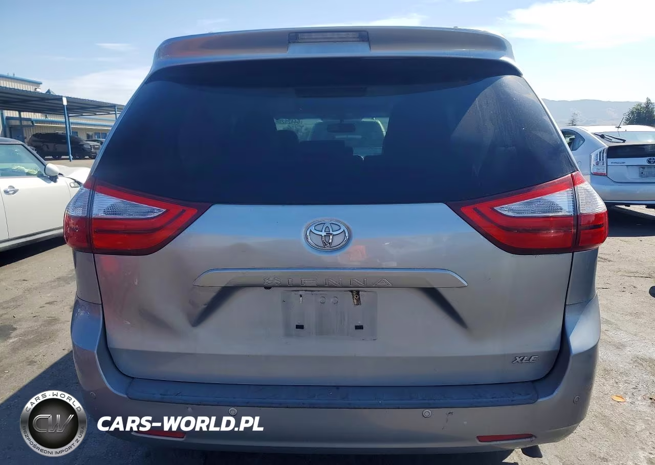 2016 Toyota Sienna Xle 8-Passenger VIN:5TDYK3DC4GS697179 - 6