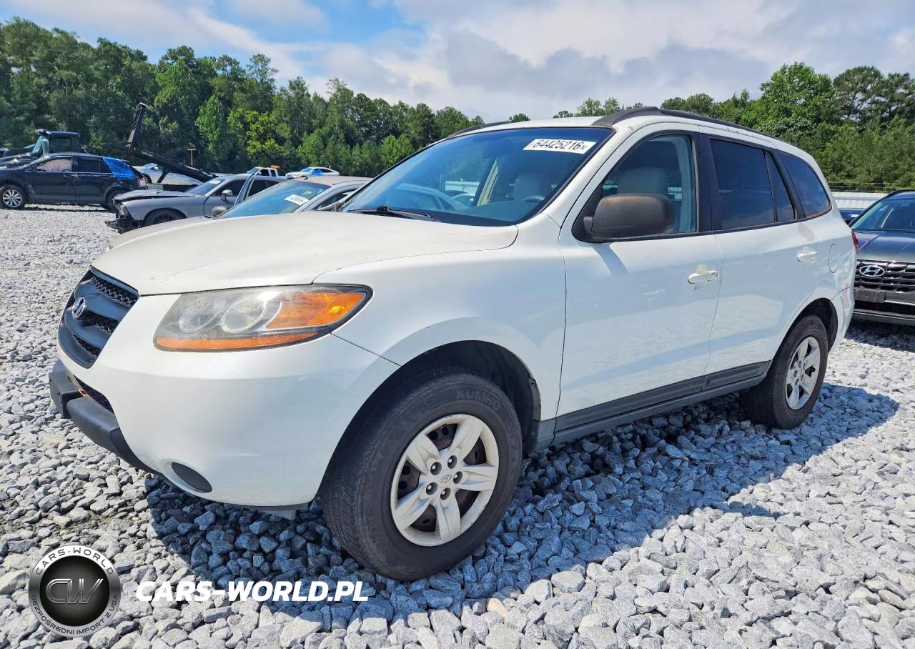 2009 Hyundai Santa Fe Gls