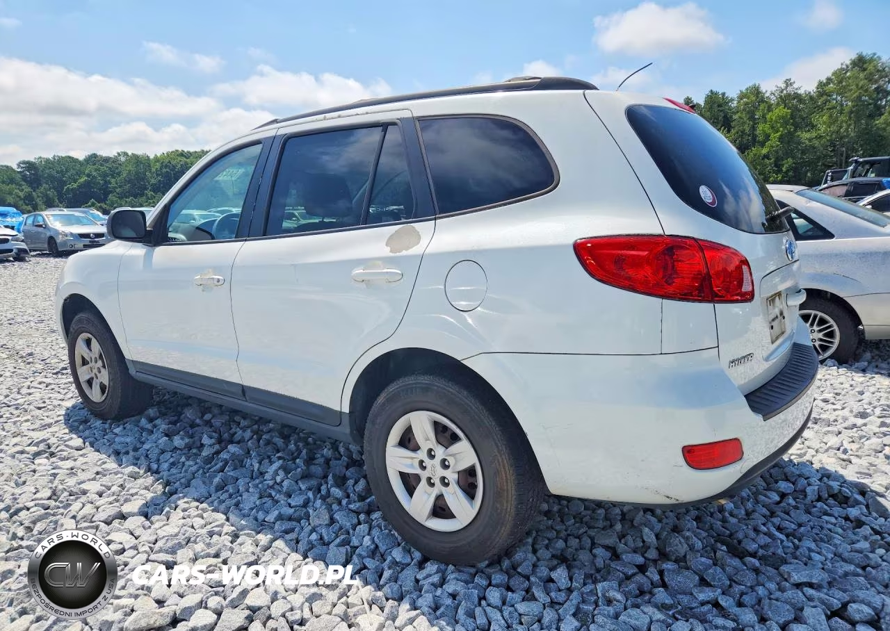 2009 Hyundai Santa Fe Gls VIN:5NMSG13D79H305503 - 2