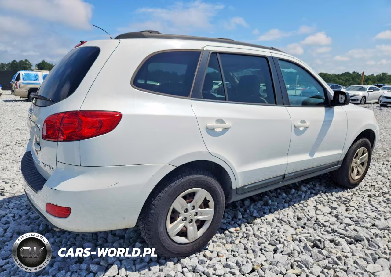 2009 Hyundai Santa Fe Gls VIN:5NMSG13D79H305503 - 3