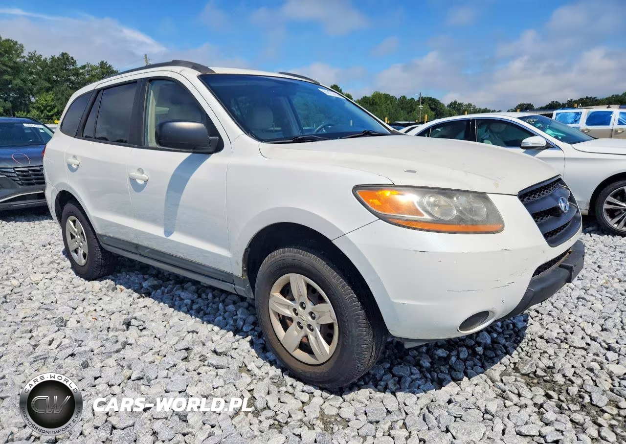2009 Hyundai Santa Fe Gls VIN:5NMSG13D79H305503 - 4