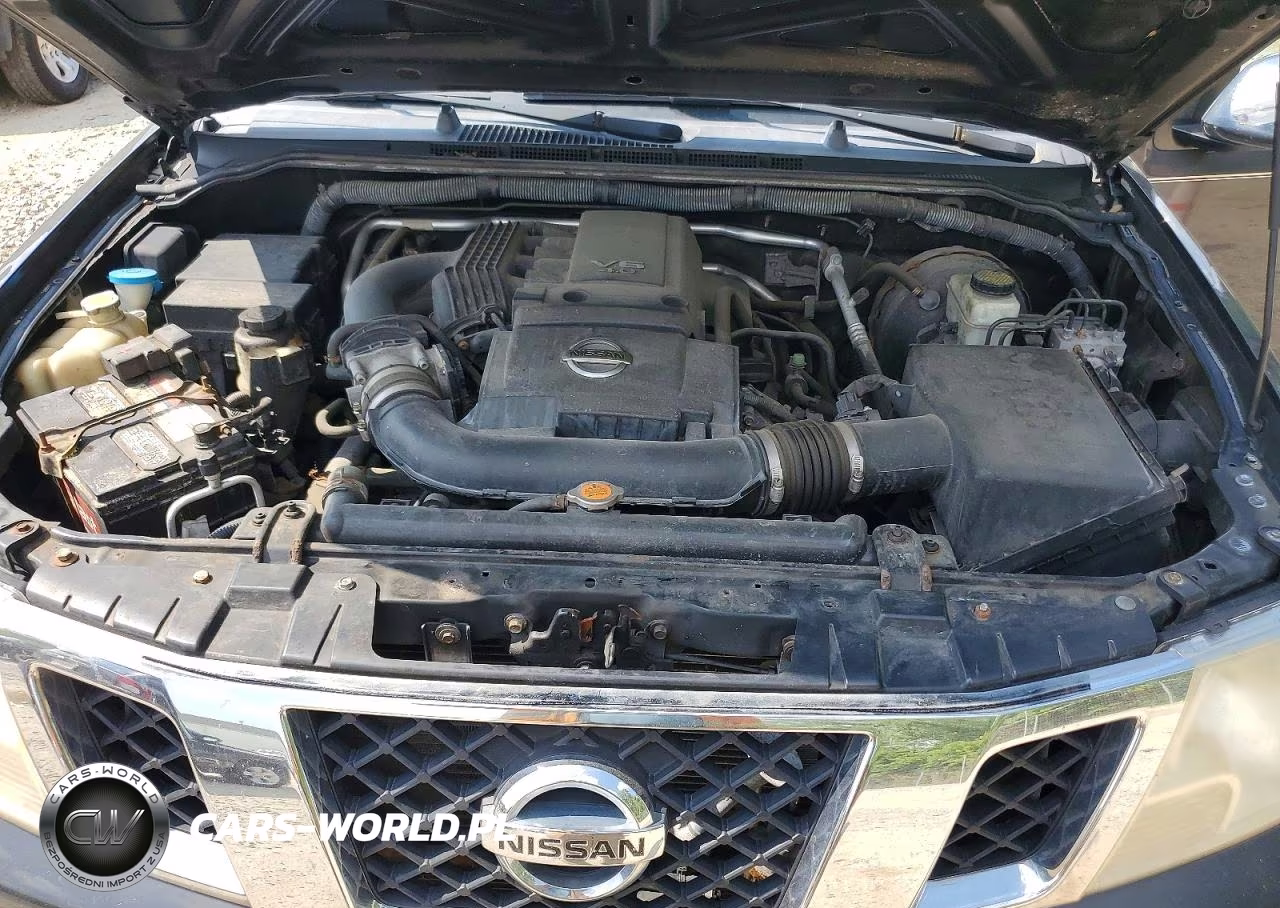 2010 Nissan Frontier Se V6 VIN:1N6AD0CW5AC401226 - 11