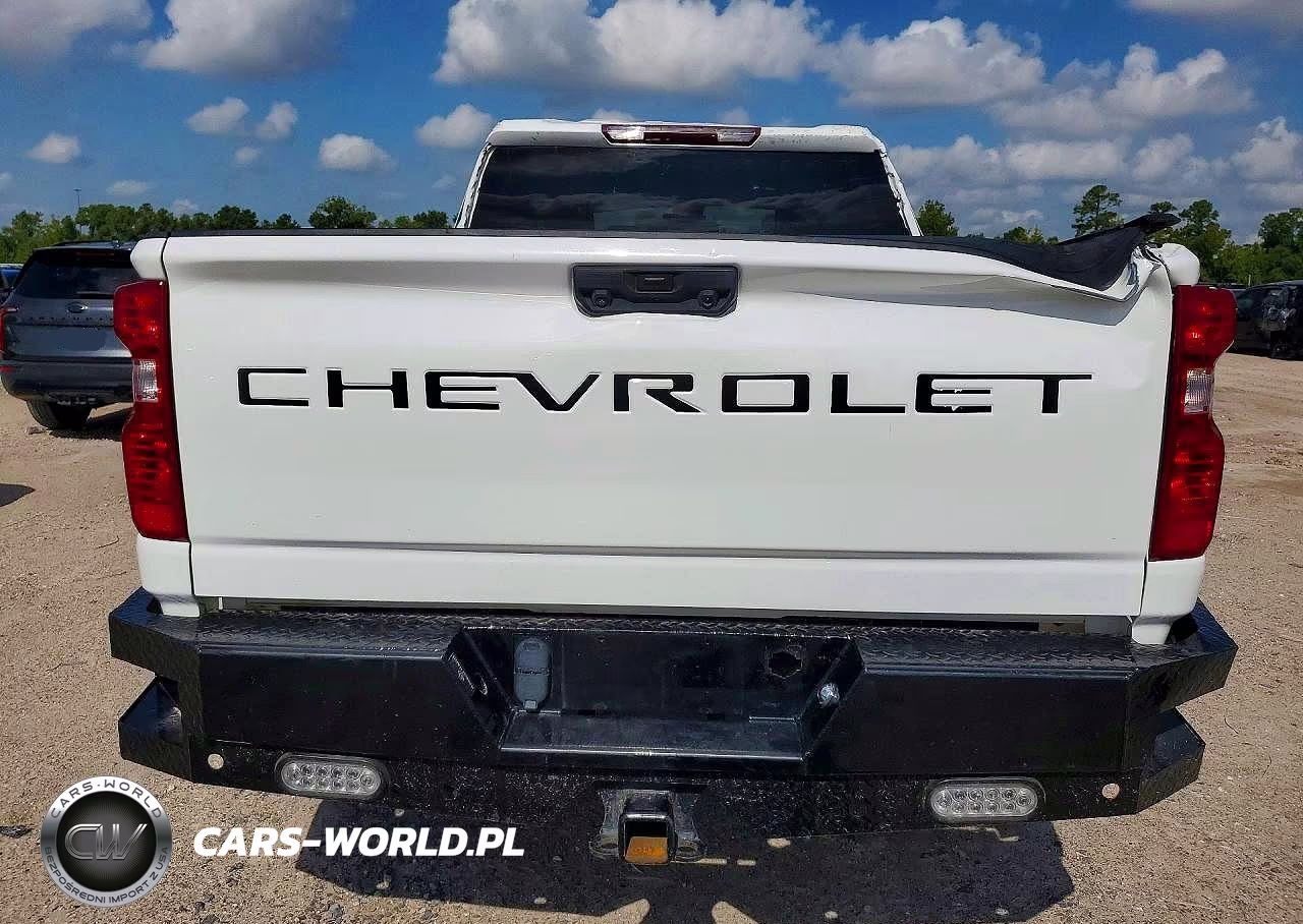 2024 Chevrolet Silverado K2500 Heavy Duty Lt VIN:2GC4YNEY9R1194518 - 6