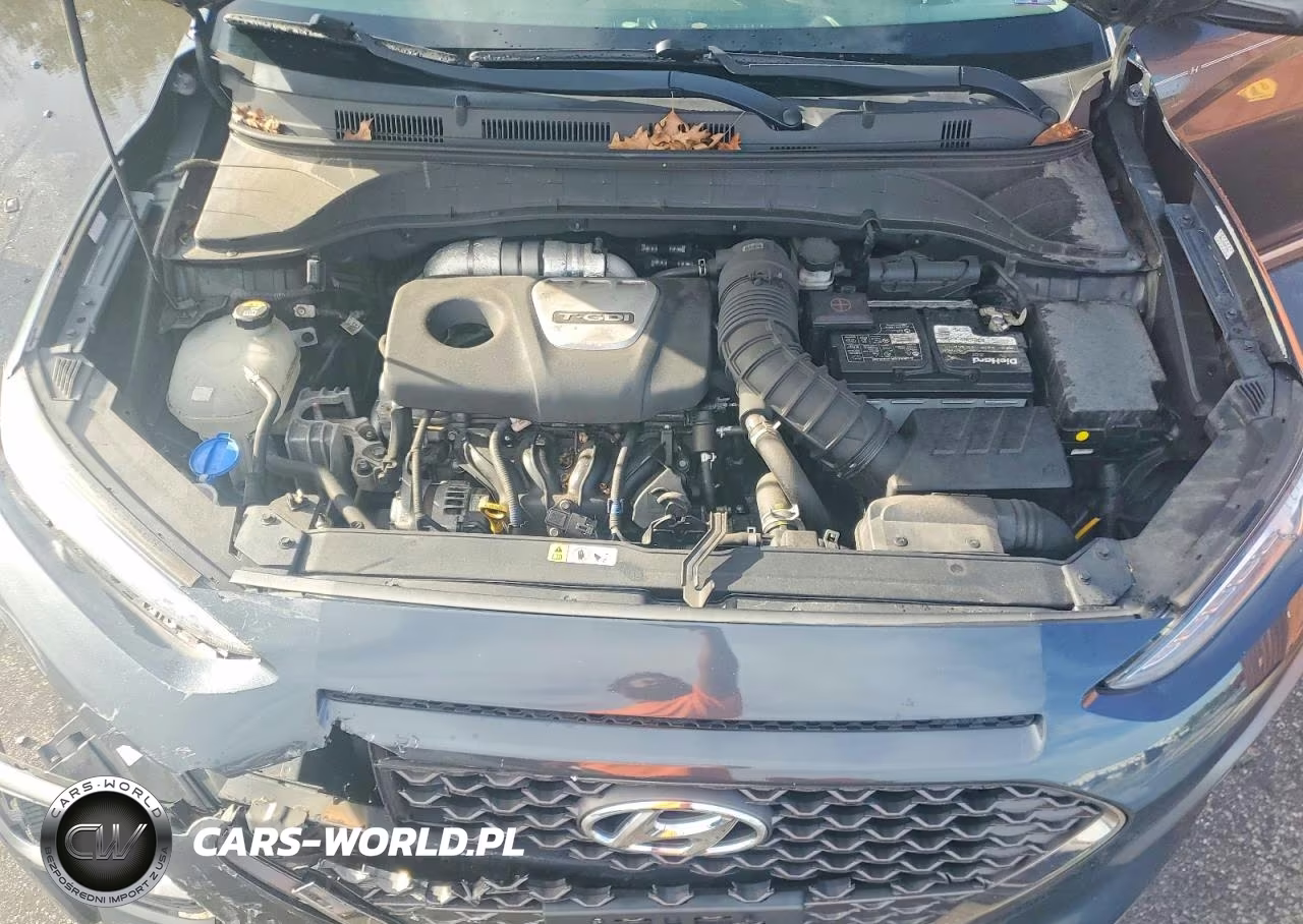 2019 Hyundai Kona Ultimate VIN:KM8K53A55KU274369 - 12