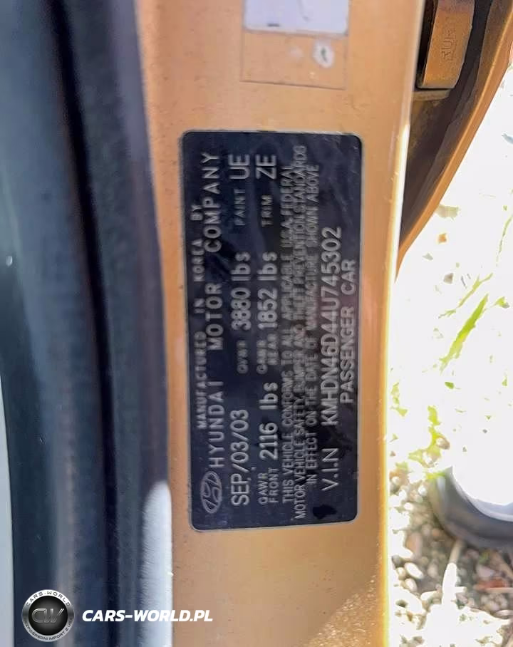 2004 Hyundai Elantra Gls VIN:KMHDN46D44U745302 - 12