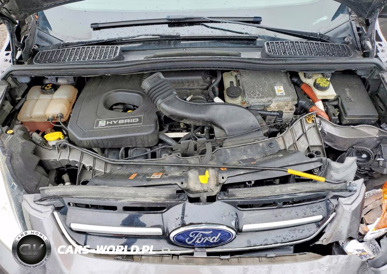 2014 Ford C-Max Se VIN:1FADP5AU5EL517821 - 12