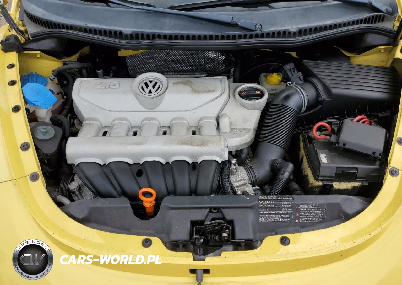 2008 Volkswagen New Beetle S VIN:3VWRG31C28M517769 - 11