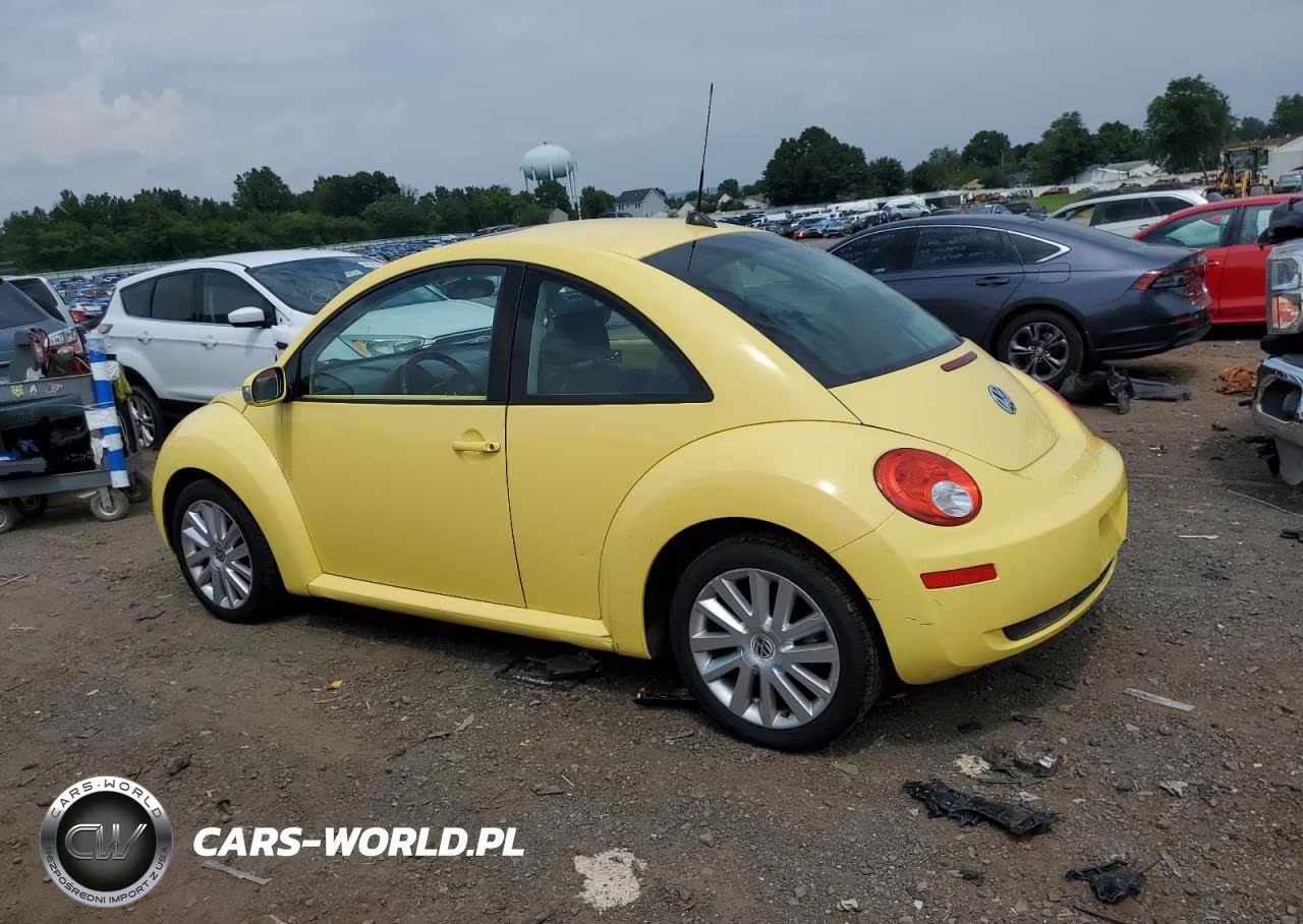 2008 Volkswagen New Beetle S VIN:3VWRG31C28M517769 - 2