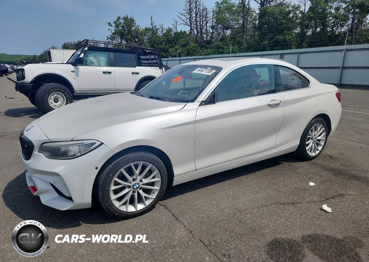 2016 BMW 228 I VIN:WBA1F5C52GV343913 - 1