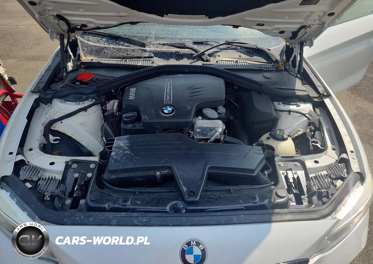 2016 BMW 228 I VIN:WBA1F5C52GV343913 - 11