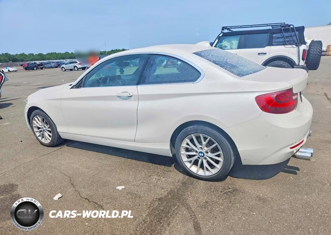 2016 BMW 228 I VIN:WBA1F5C52GV343913 - 2