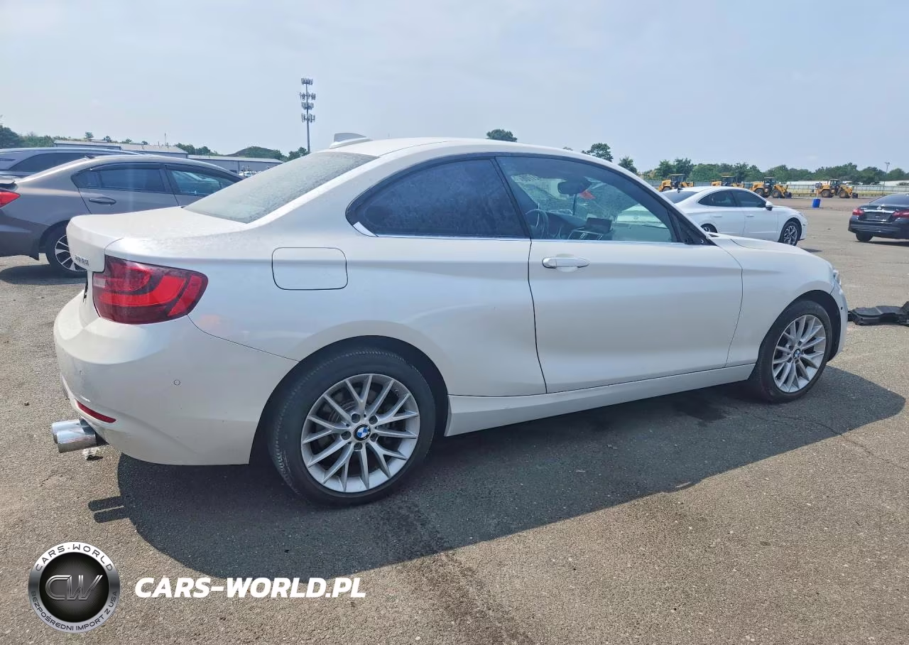 2016 BMW 228 I VIN:WBA1F5C52GV343913 - 3