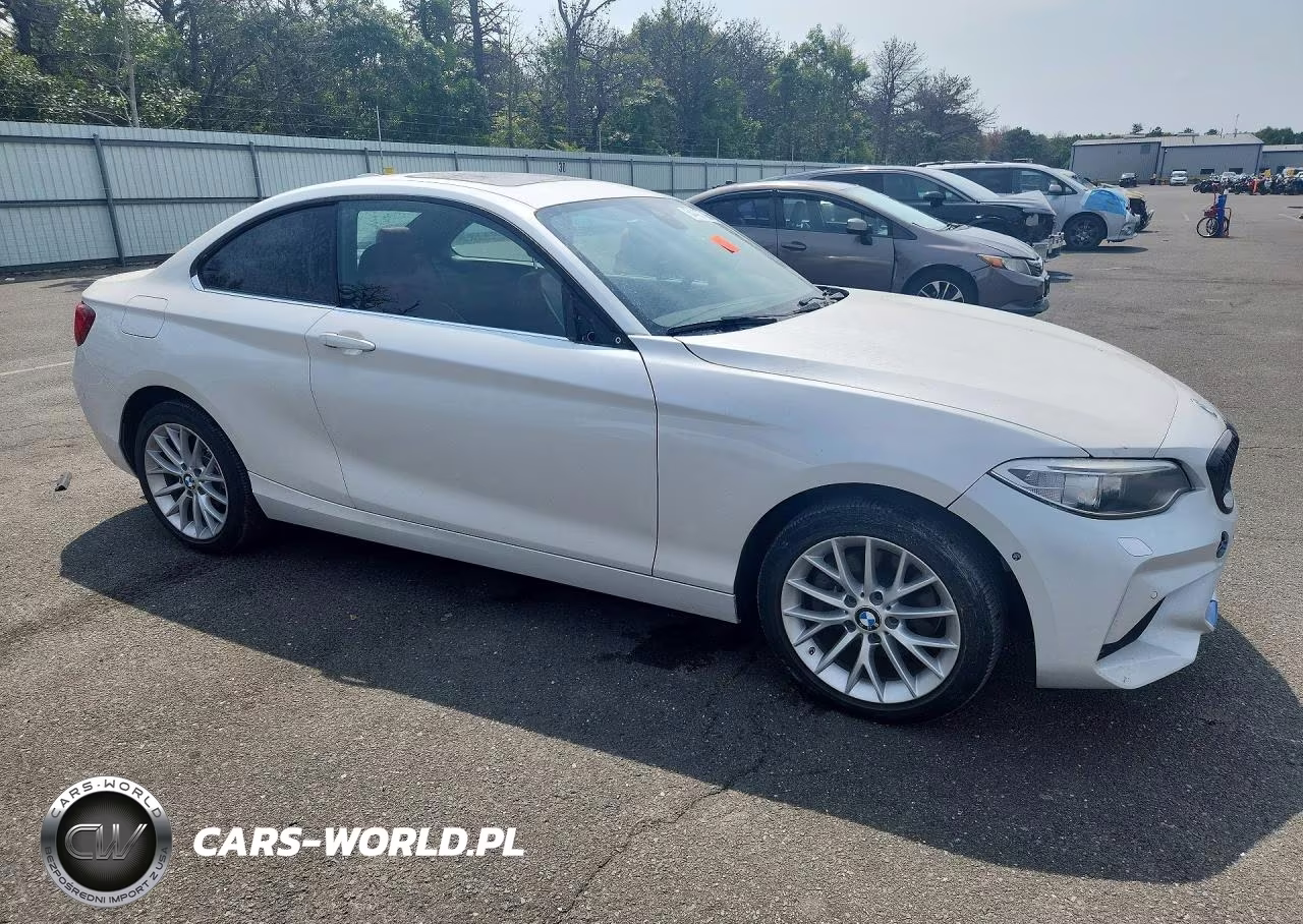 2016 BMW 228 I VIN:WBA1F5C52GV343913 - 4