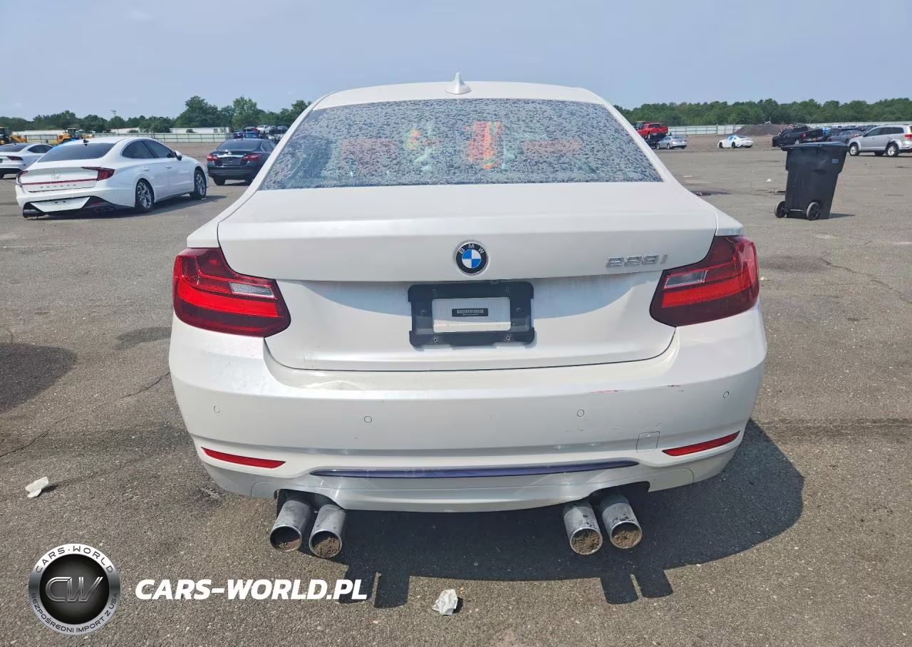 2016 BMW 228 I VIN:WBA1F5C52GV343913 - 6