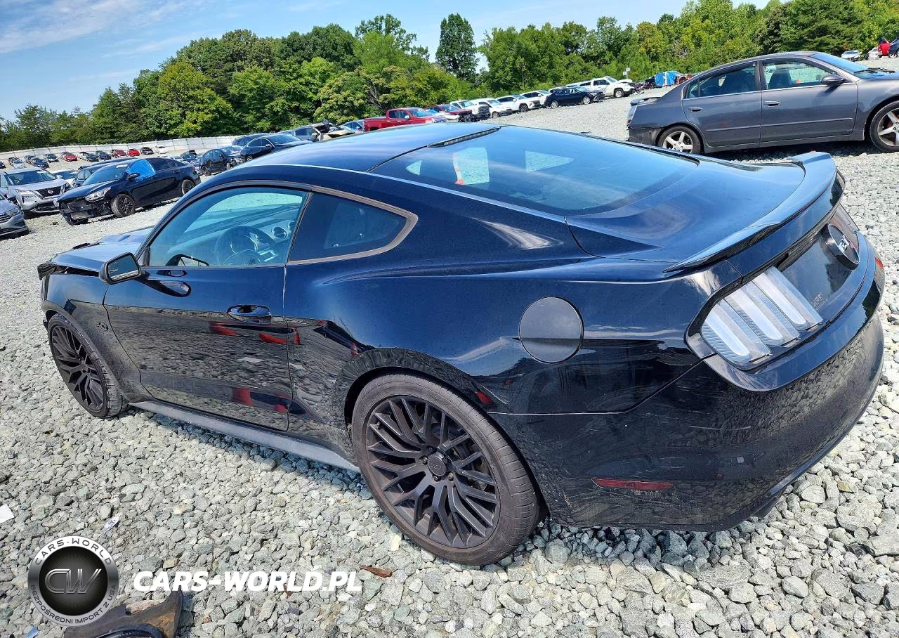 2015 Ford Mustang Gt VIN:1FA6P8CF5F5342212 - 2