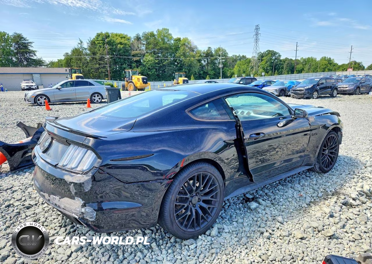 2015 Ford Mustang Gt VIN:1FA6P8CF5F5342212 - 3