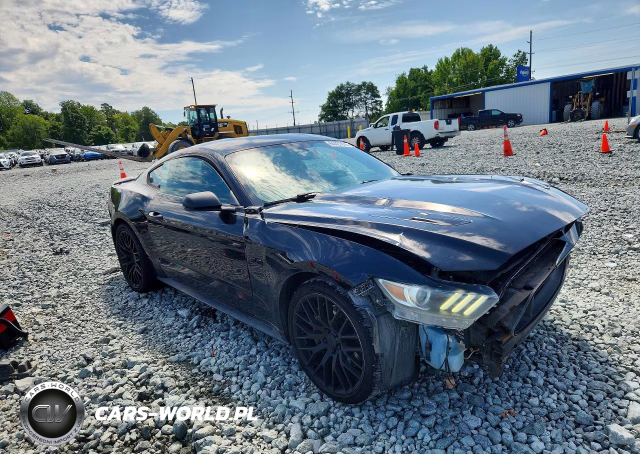 2015 Ford Mustang Gt VIN:1FA6P8CF5F5342212 - 4