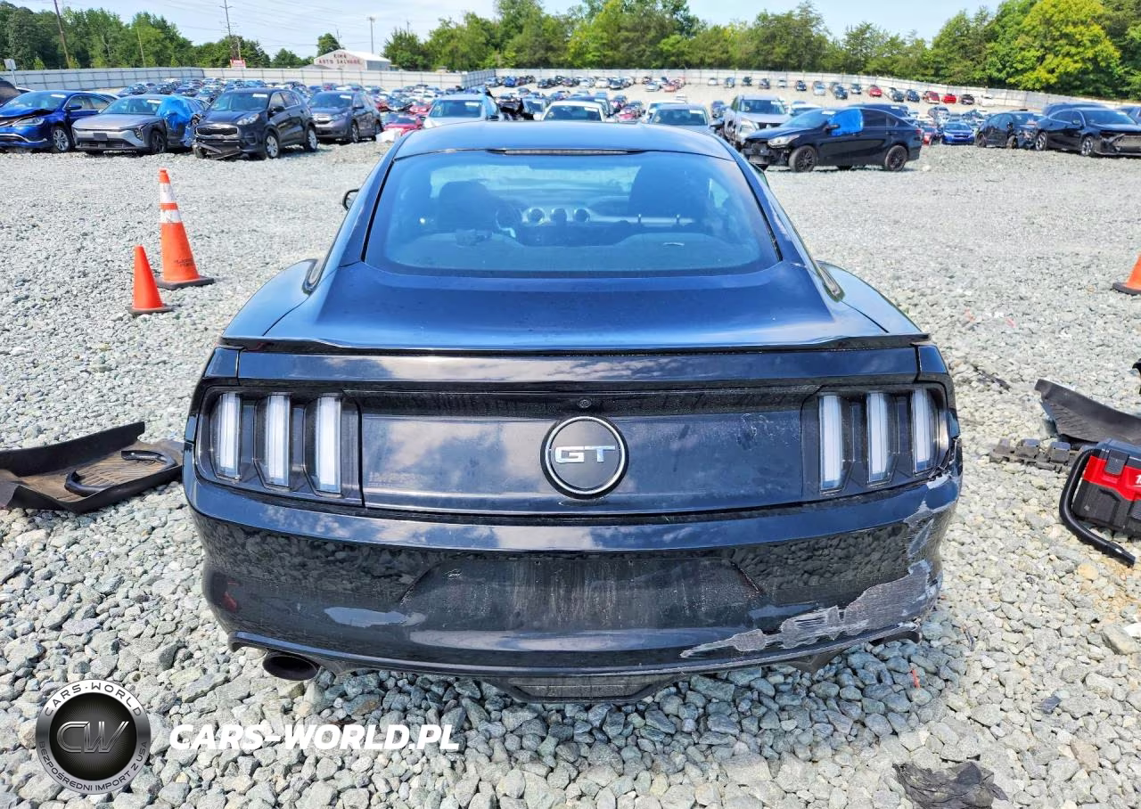 2015 Ford Mustang Gt VIN:1FA6P8CF5F5342212 - 6