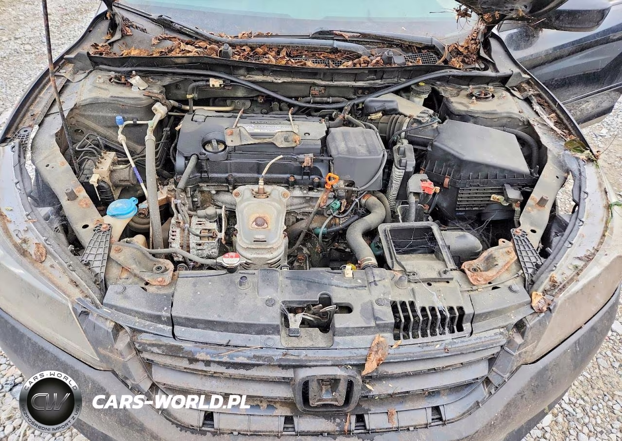 2014 Honda Accord Lx VIN:1HGCR2F32EA230030 - 11