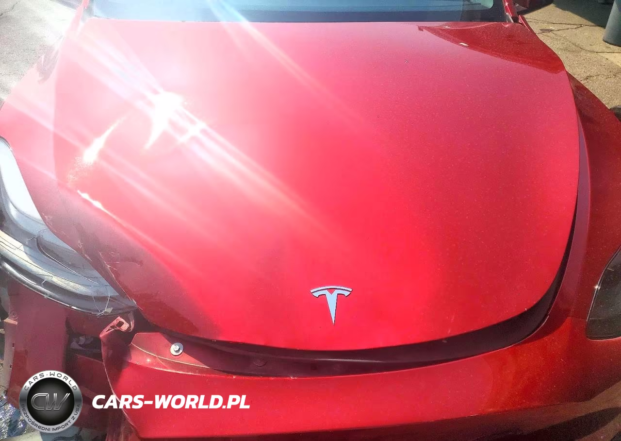 2024 Tesla Model Y VIN:7SAYGDEE0RF065930 - 11