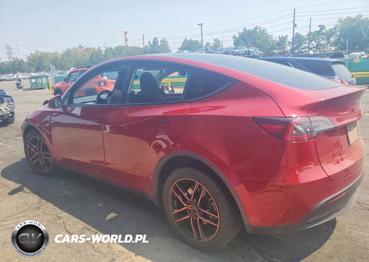 2024 Tesla Model Y VIN:7SAYGDEE0RF065930 - 2