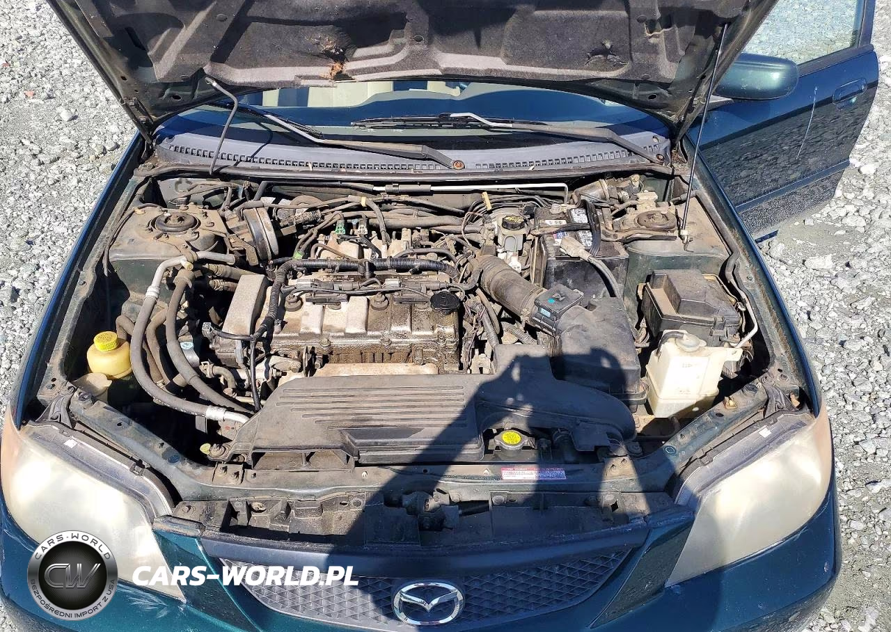 2002 Mazda Protege Dx VIN:JM1BJ225720637013 - 11