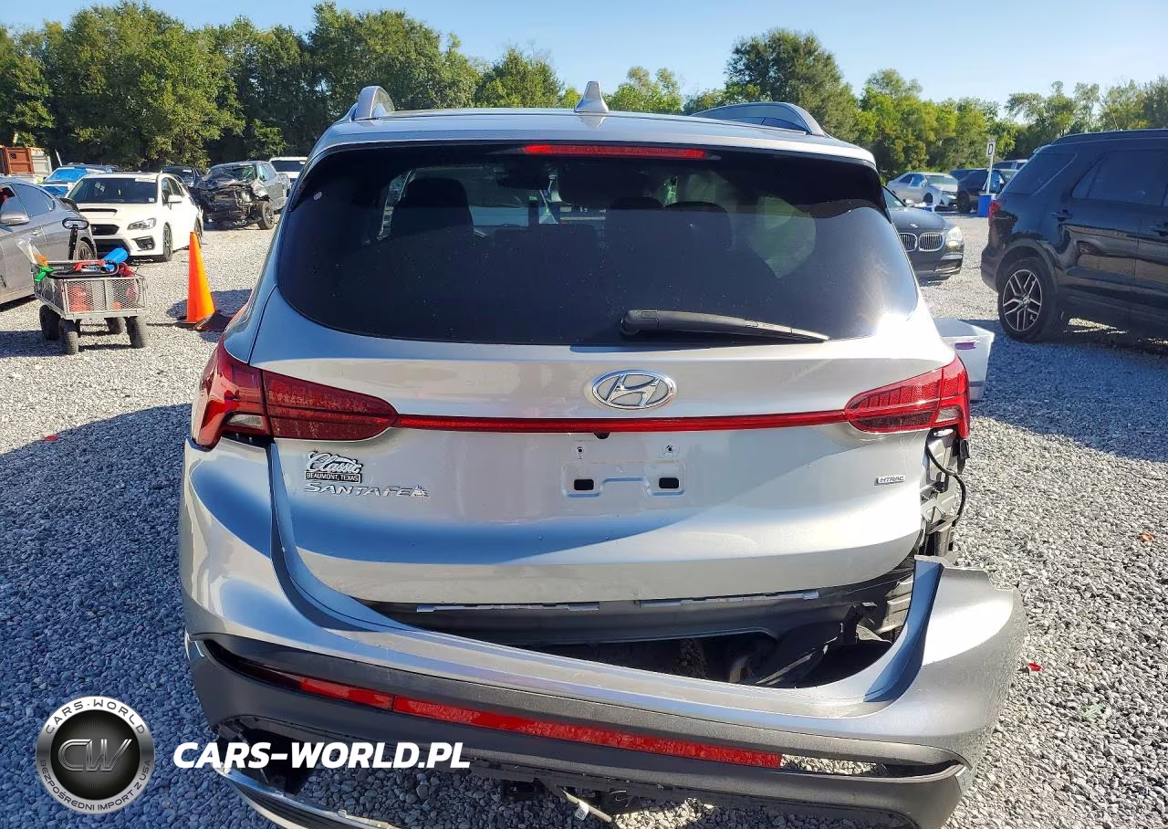 2023 Hyundai Santa Fe Base VIN:5NMS3DAJ6PH535861 - 6