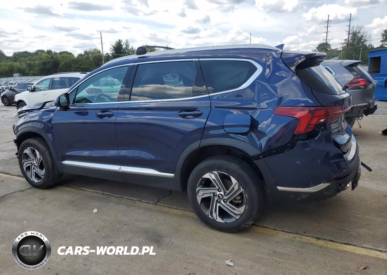 2022 Hyundai Santa Fe Sel VIN:5NMS2DAJ6NH450390 - 2