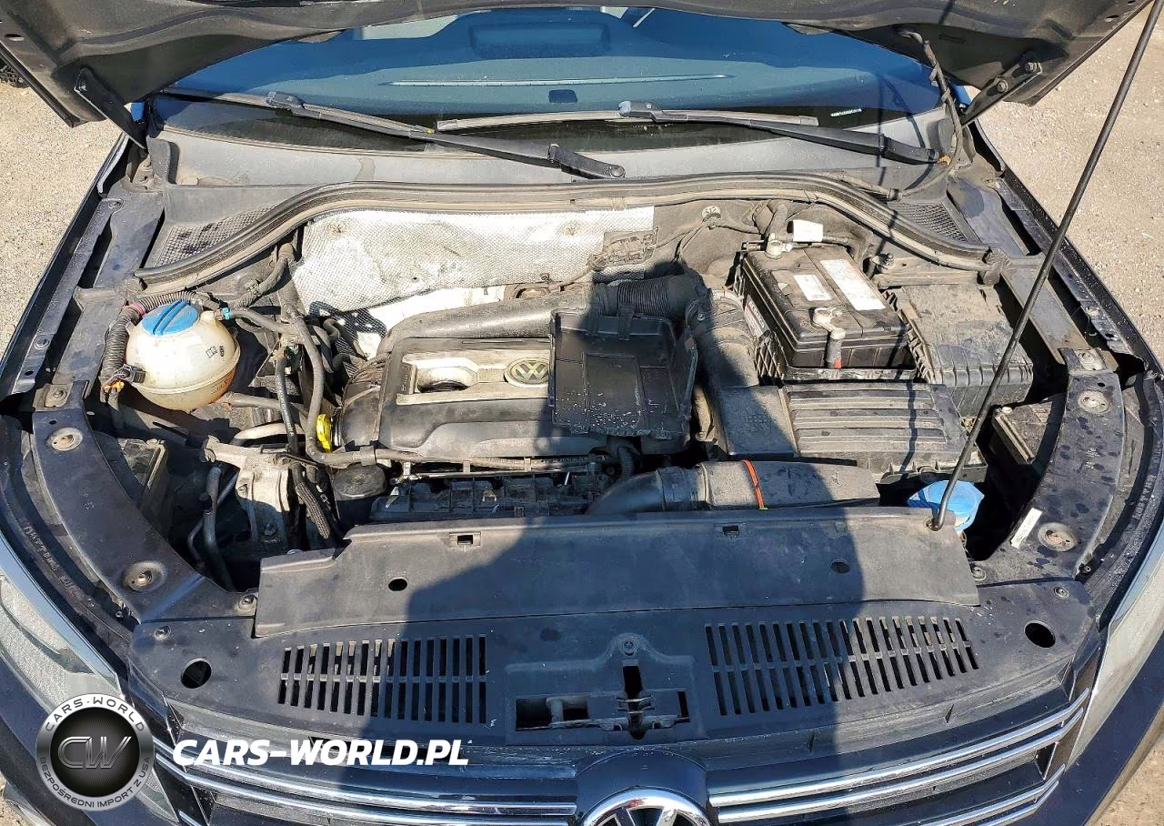 2016 Volkswagen Tiguan S VIN:WVGBV7AX0GW515176 - 12