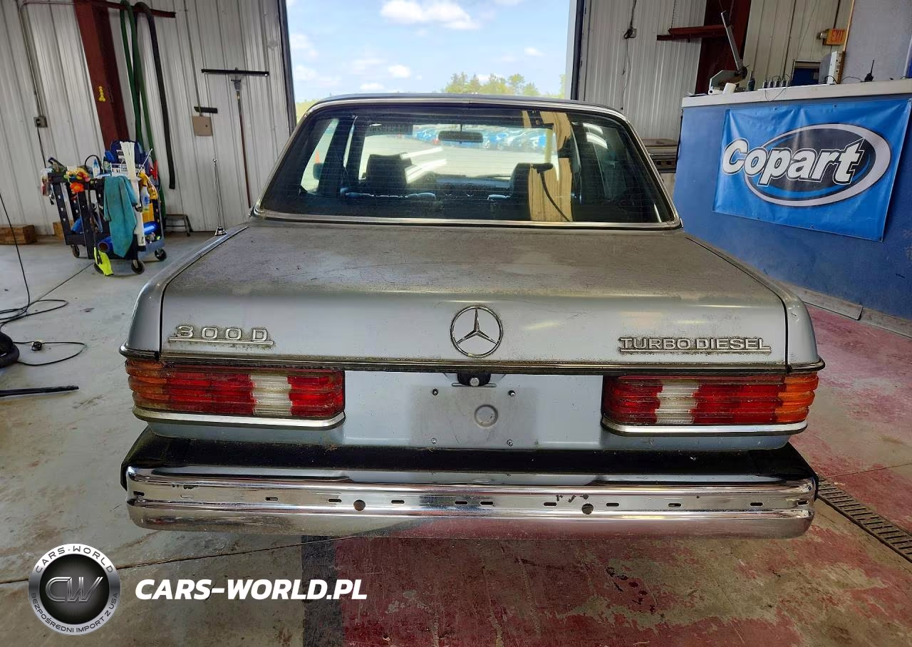 1983 Mercedes-Benz 300 Dt VIN:WDBAB33A3DB027576 - 6