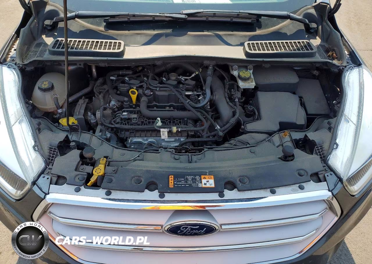 2019 Ford Escape Se VIN:1FMCU0GD3KUB48550 - 12