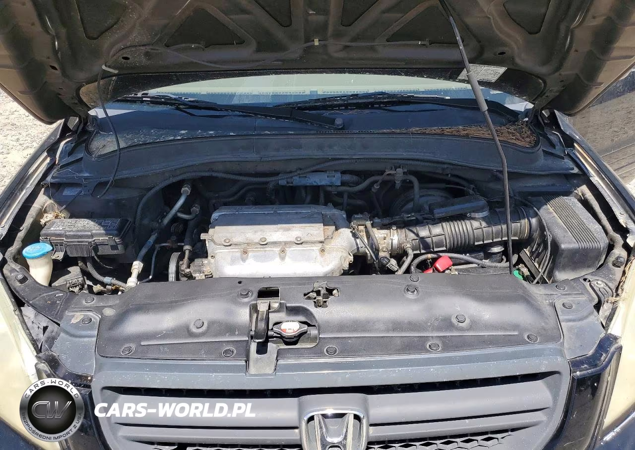 2004 Honda Pilot Exl VIN:2HKYF18504H545213 - 12