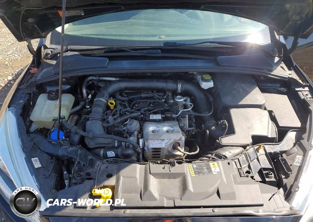 2018 Ford Focus Se VIN:1FADP3FE5JL209466 - 11