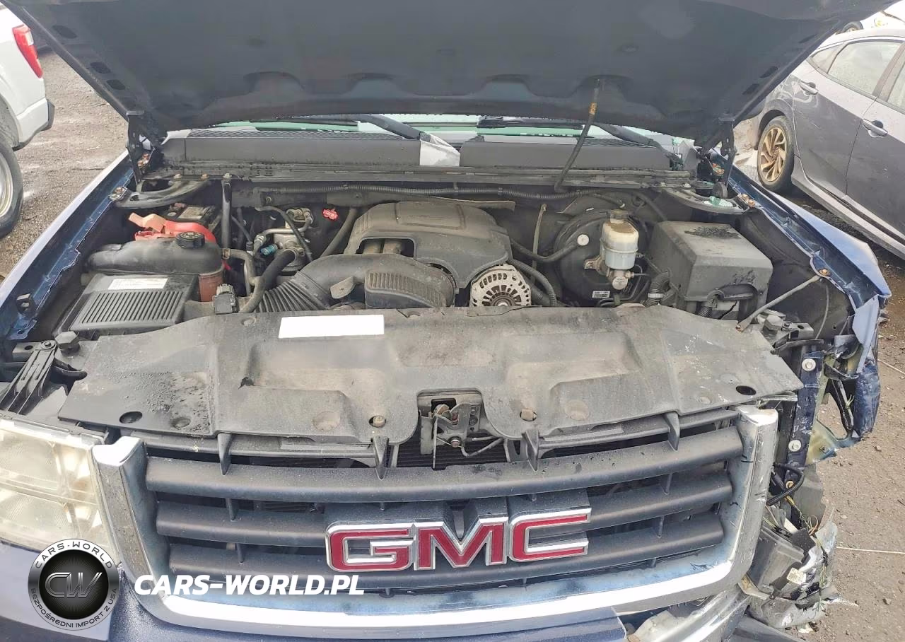 2009 GMC Sierra C1500 Slt VIN:1GTEC39J49Z176729 - 11