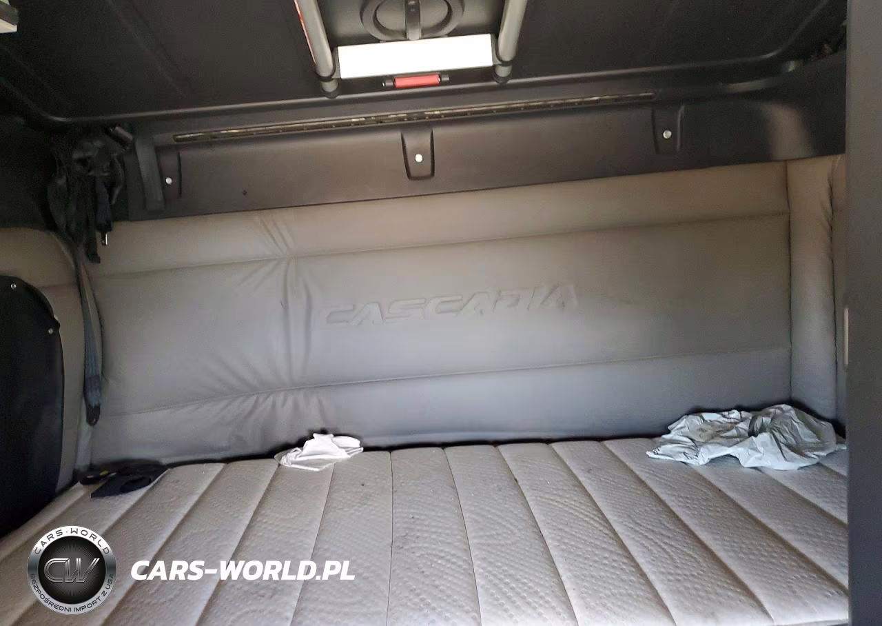 2020 Freightliner Cascadia 126 VIN:3AKJHHDR8LSLR0396 - 10
