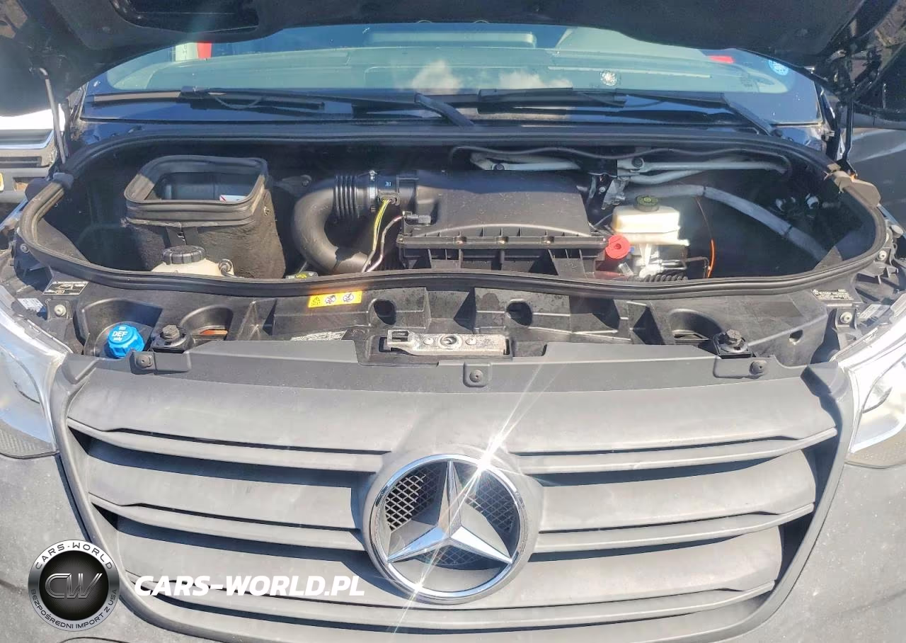 2020 Mercedes-Benz Sprinter 3500 VIN:W1W5EDHY0LT023651 - 12