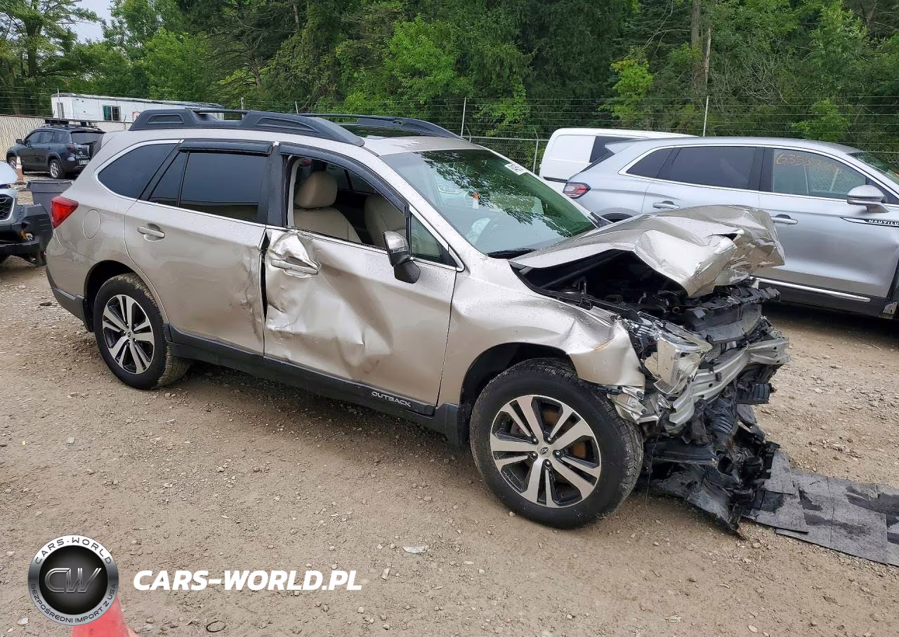 2019 Subaru Outback 2.5I Limited VIN:4S4BSANC1K3314152 - 4