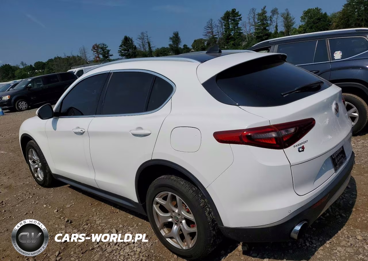 2019 Alfa Romeo Stelvio VIN:ZASPAKAN5K7C71610 - 2