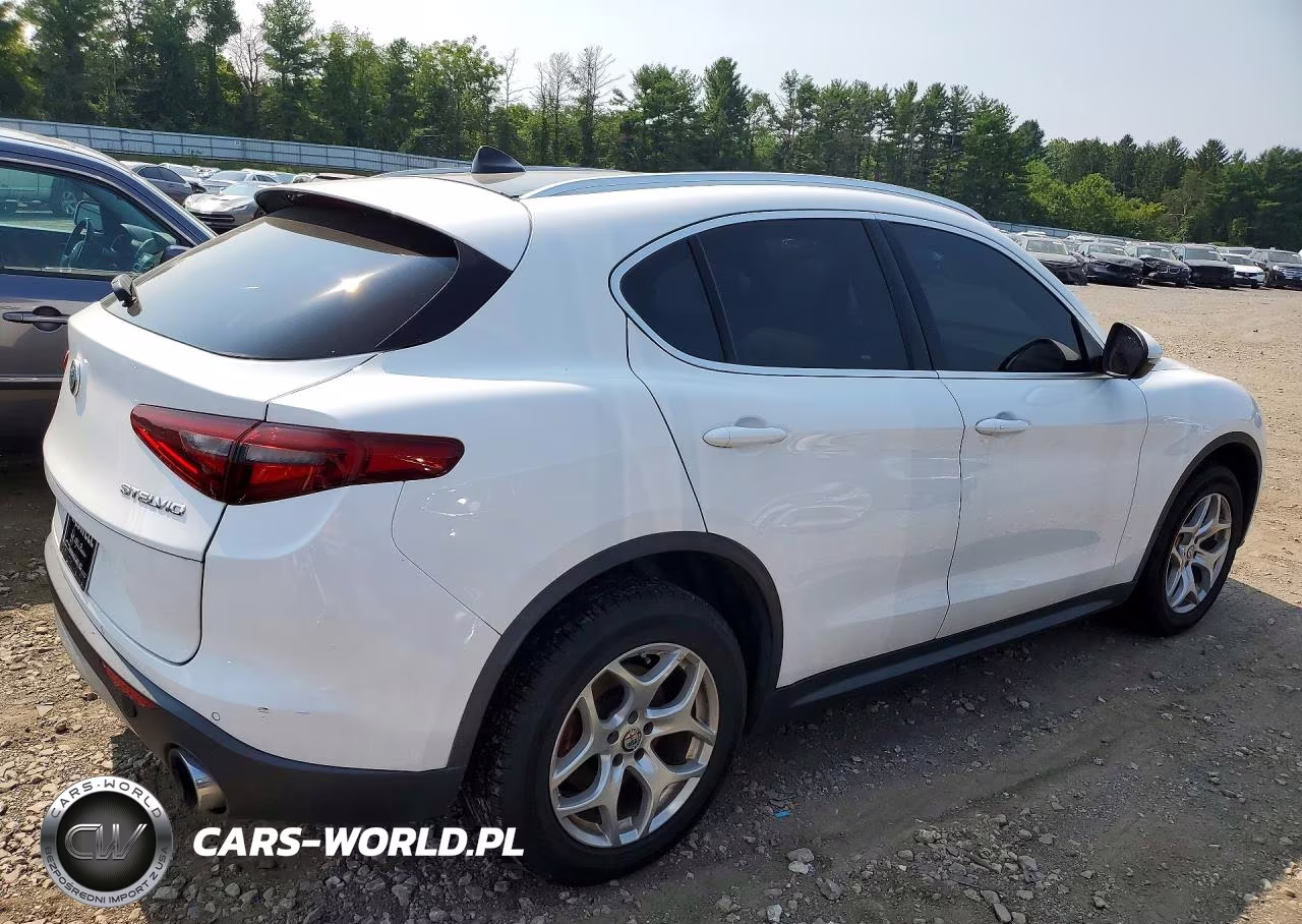 2019 Alfa Romeo Stelvio VIN:ZASPAKAN5K7C71610 - 3