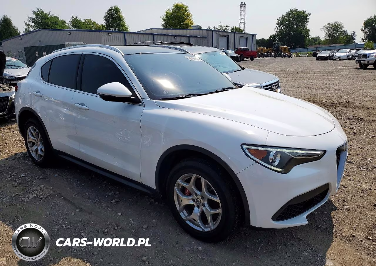 2019 Alfa Romeo Stelvio VIN:ZASPAKAN5K7C71610 - 4